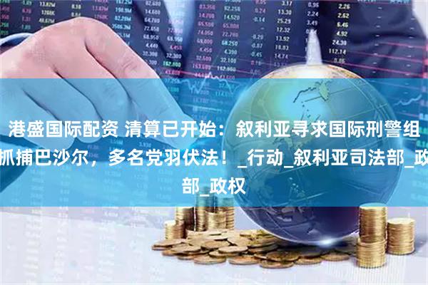 港盛国际配资 清算已开始：叙利亚寻求国际刑警组织抓捕巴沙尔，多名党羽伏法！_行动_叙利亚司法部_政权