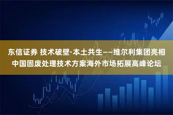 东信证券 技术破壁·本土共生——维尔利集团亮相中国固废处理技术方案海外市场拓展高峰论坛