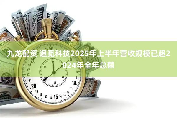 九龙配资 追觅科技2025年上半年营收规模已超2024年全年总额